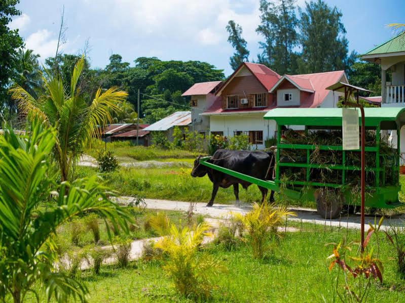 Zerof Self Catering Apartments La Digue Eksteriør billede